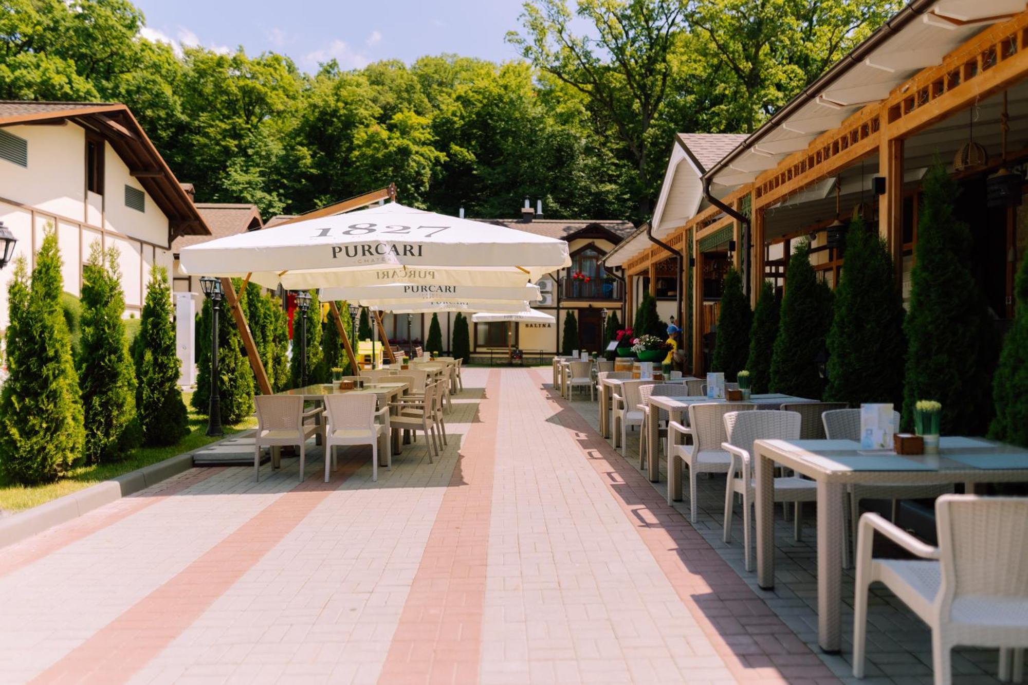 Complex Turistic Codru Hotel Selistea Exterior photo